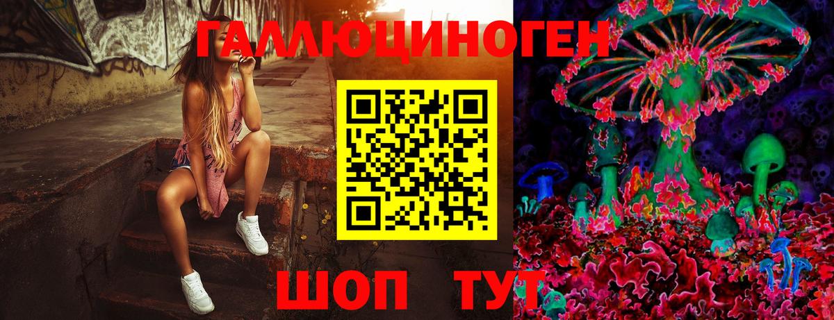 Унеча  Галлюциногенные грибы Cubensis  Вход с VPN  Галлюциногенные грибы MAGIC MUSHROOMS 