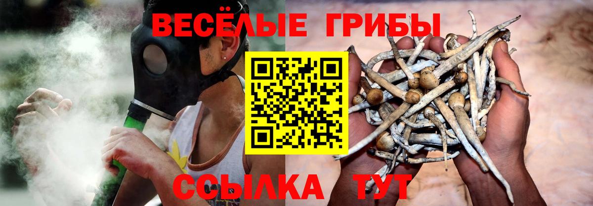 Галлюциногенные грибы прущие грибы Унеча